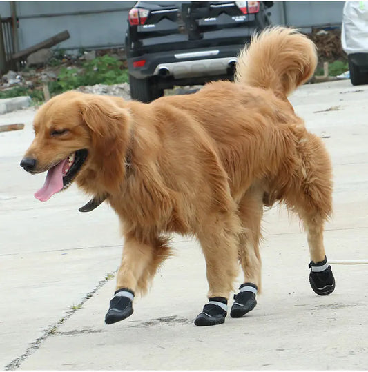 Zapatos Resistentes y Transpirables para Perros Grandes